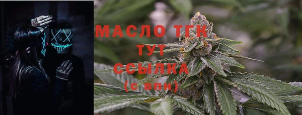 ешки Снежногорск